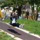 DSC00914