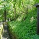 DSC00926