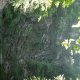 DSC00951