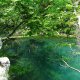 DSC00952