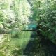 DSC00955