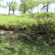 DSC00956
