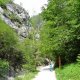 DSC00959