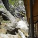 DSC00961