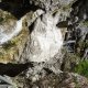 DSC00962