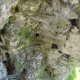 DSC00963