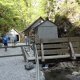 DSC00964