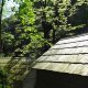 DSC00973