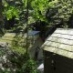 DSC00974