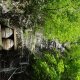 DSC00980