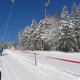 IMG_0380