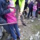 DSC02929