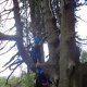 DSC02954