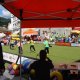 DSC03452