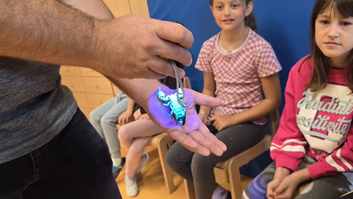 🐾Teden otroka 2025: Ko otrok reče »prosim« in »hvala« 🐾