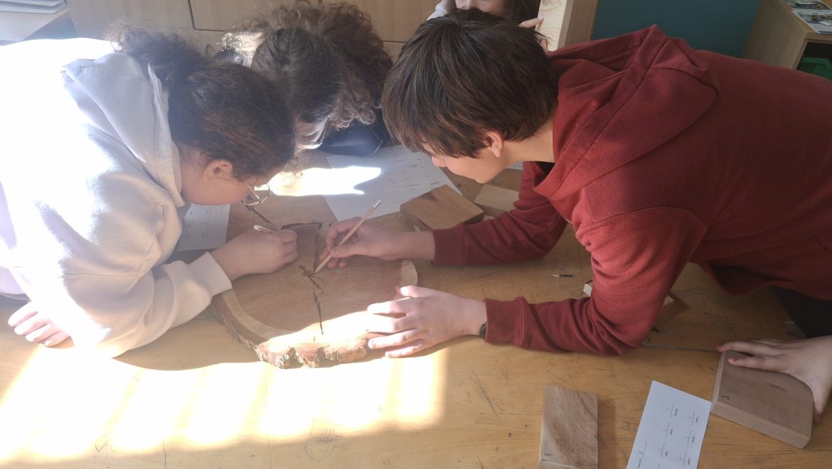 Karierne delavnice za osmošolce v okviru projekta LifeLongWood