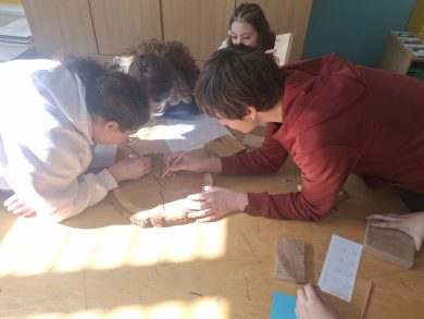 Karierne delavnice za osmošolce v okviru projekta LifeLongWood