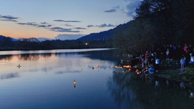 Spuščanje gregorčkov po reki Dravi