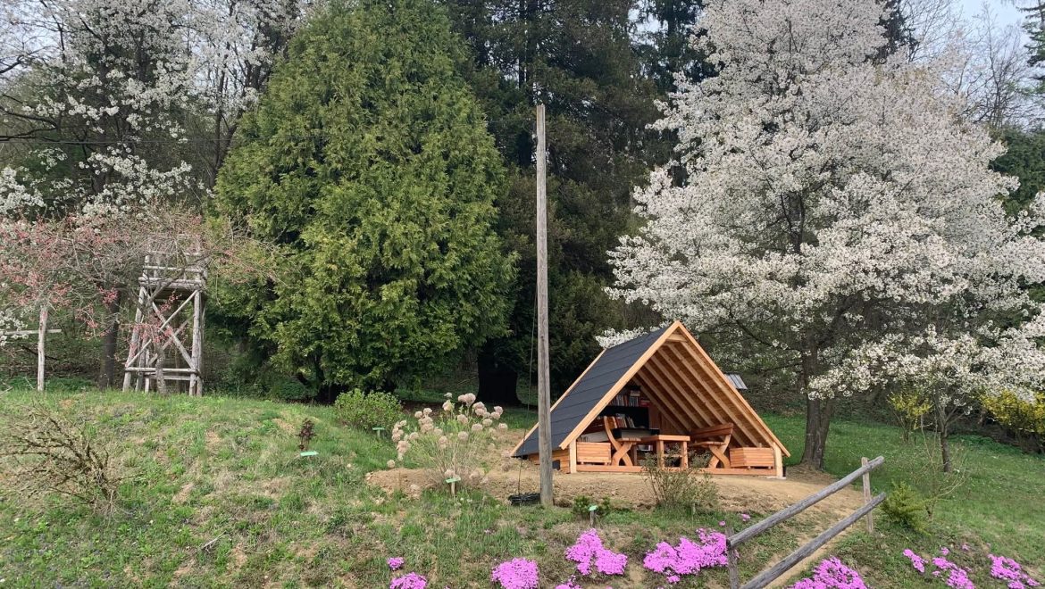 Naša mala gozdna knjižnica pri Grajski bajti