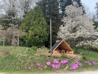 Naša mala gozdna knjižnica pri Grajski bajti