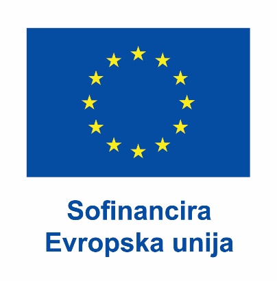 C:\Users\bkotnik\Downloads\SL V Sofinancira Evropska unija_POS.jpg